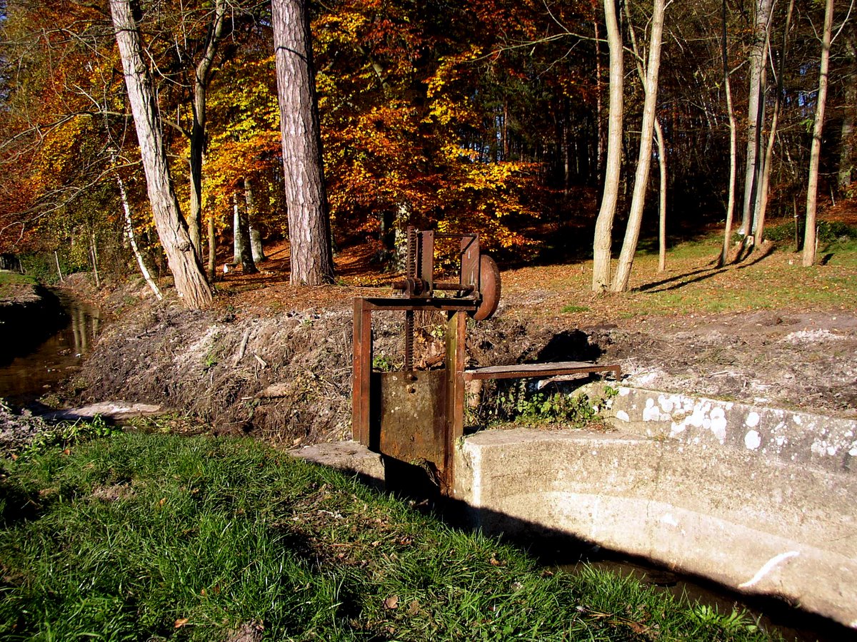 2011 11 Macrofaune benthique St Léger 14